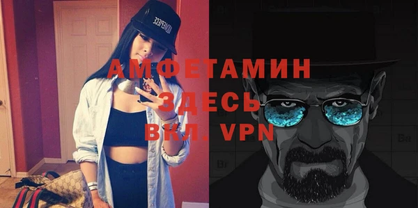 стаф Вязьма