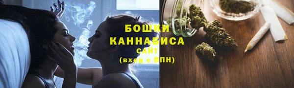 ПСИЛОЦИБИНОВЫЕ ГРИБЫ Вязники