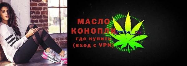 стаф Вязьма