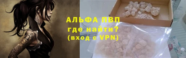 стаф Вязьма