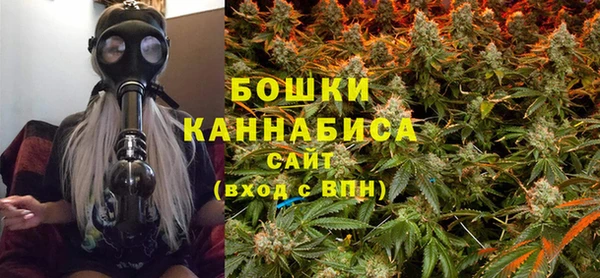 стаф Вязьма