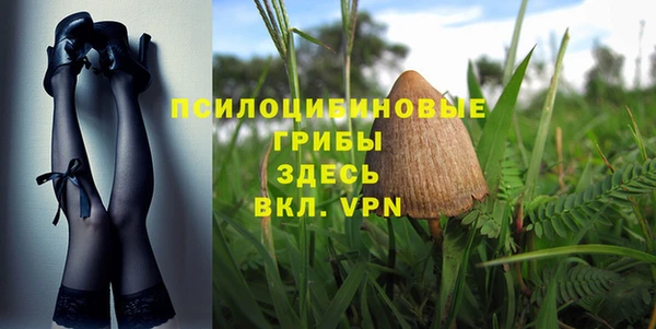 стаф Вязьма