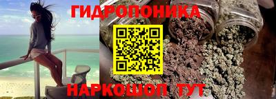 шишки Абакан