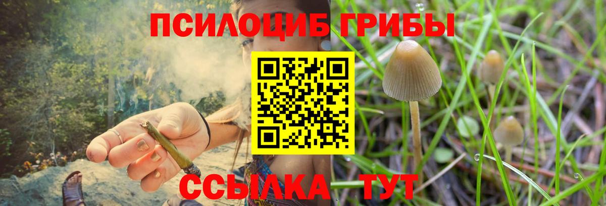 Галлюциногенные грибы мухоморы Минеральные Воды